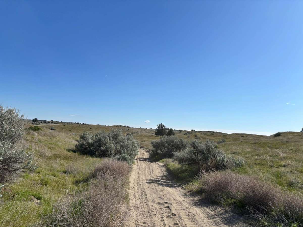 Wilderness Road photo 3