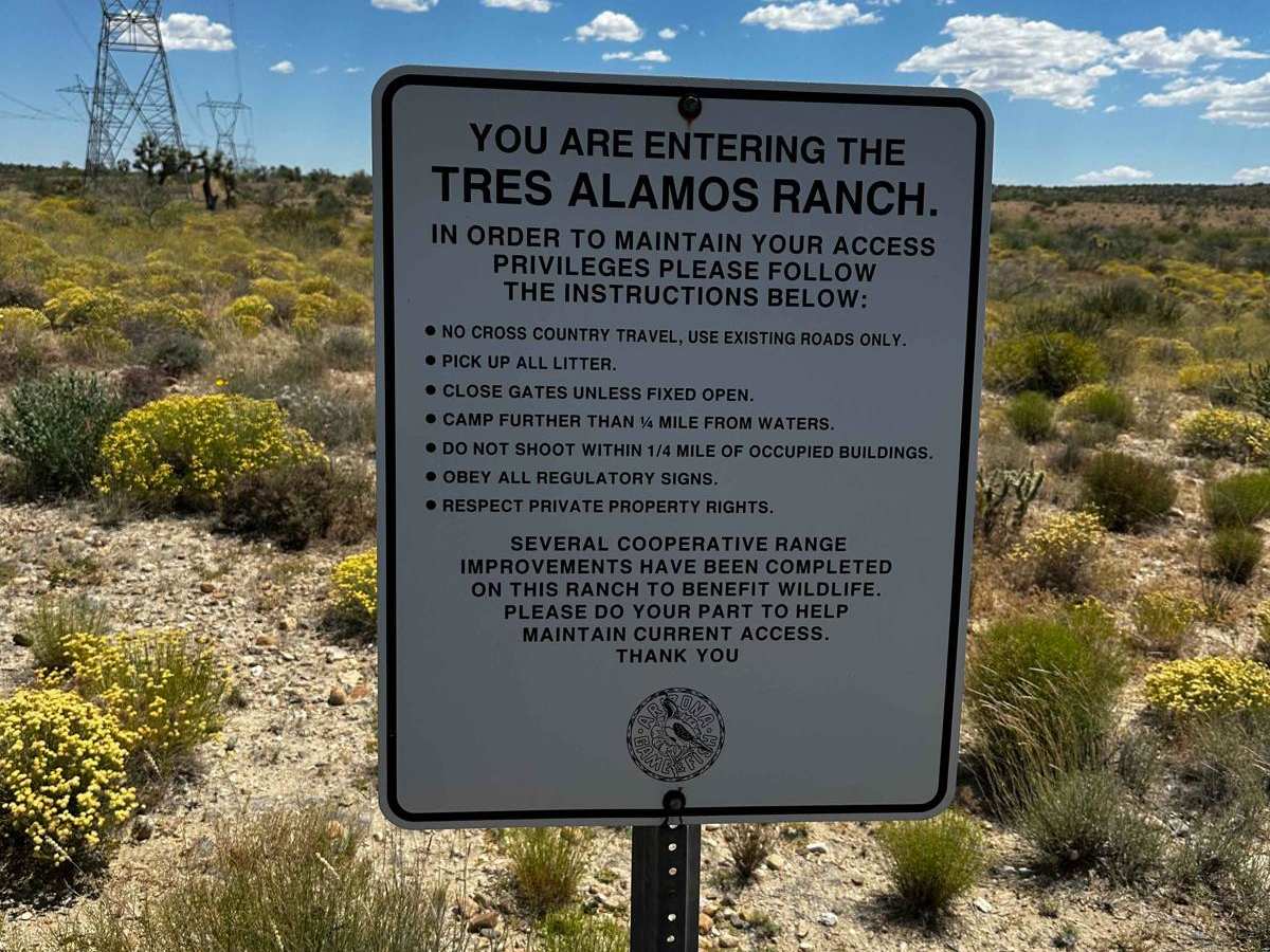 Joshua Tree Loop photo 6