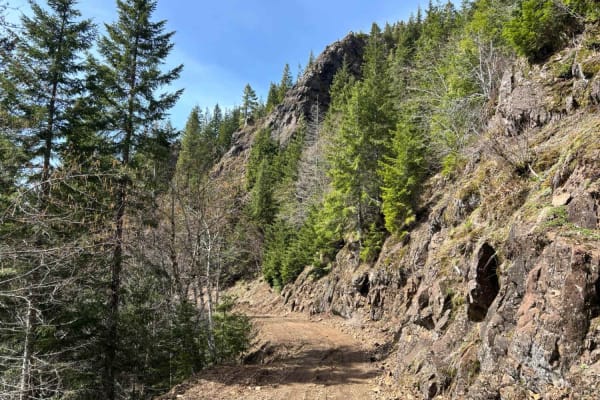 Firebreak 3 East