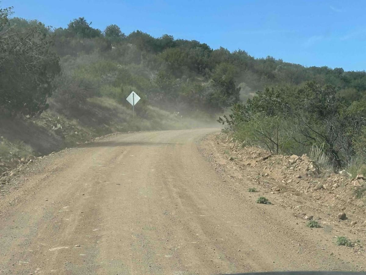 Greenback photo 4