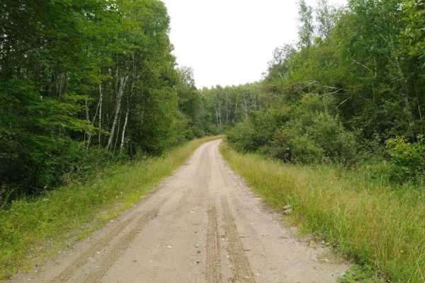 Cedar Lake Loop