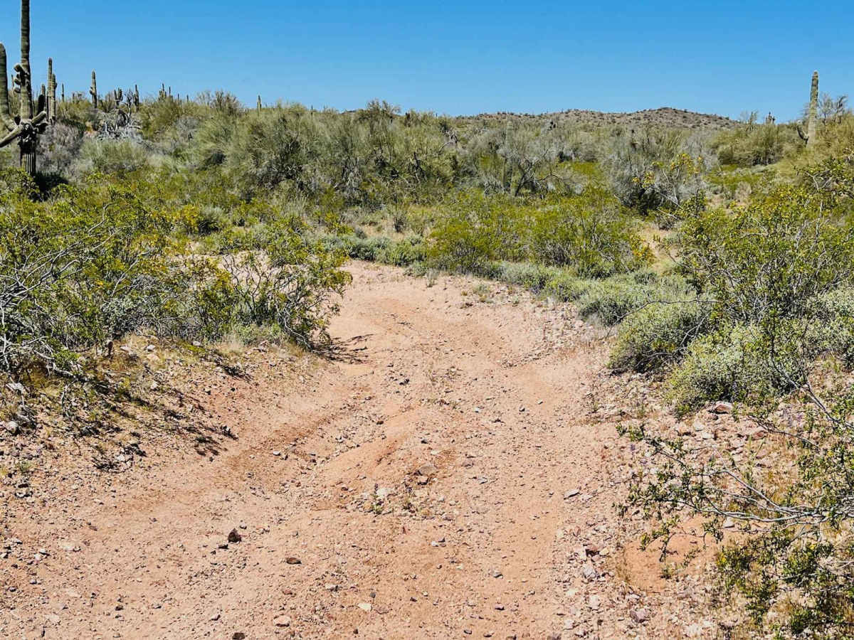 9089 OHV Whoops photo 2