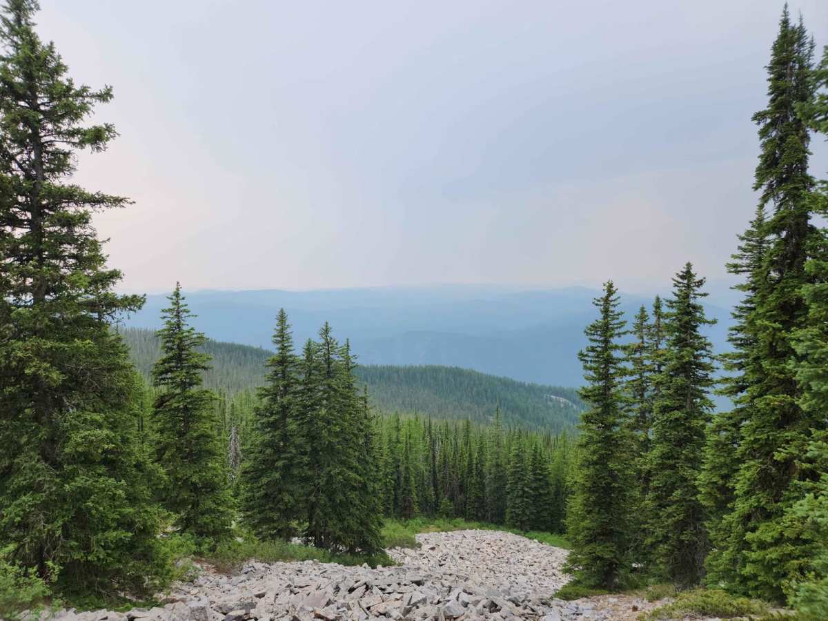 Eddy Peak Road photo 5