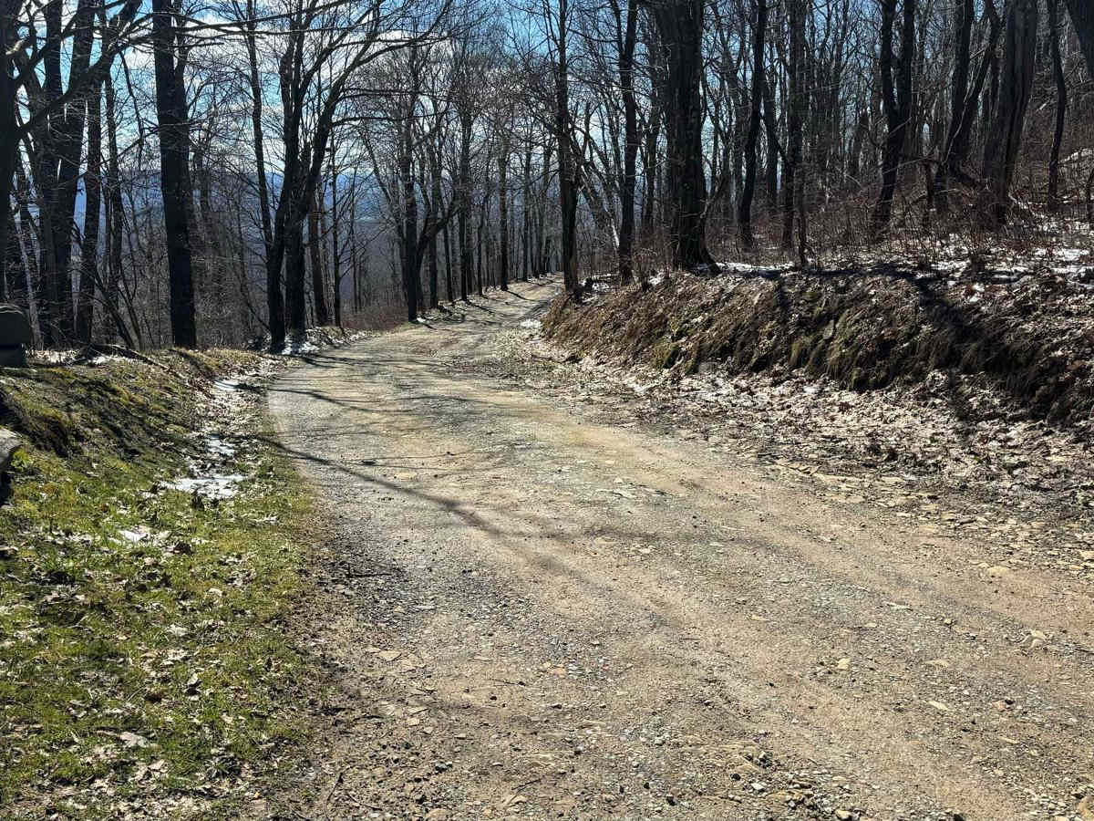 Old Bedford Pike Road photo 4