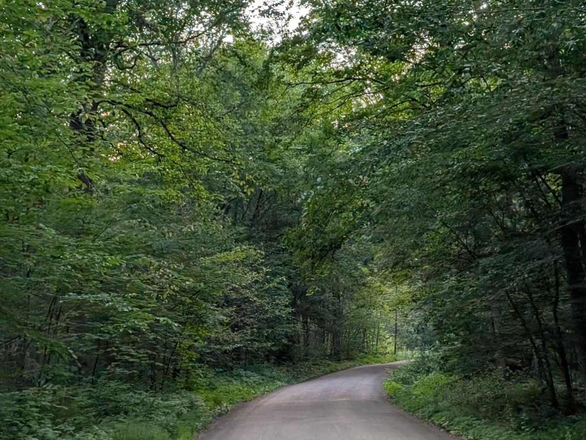Hoagland Branch Road photo 3