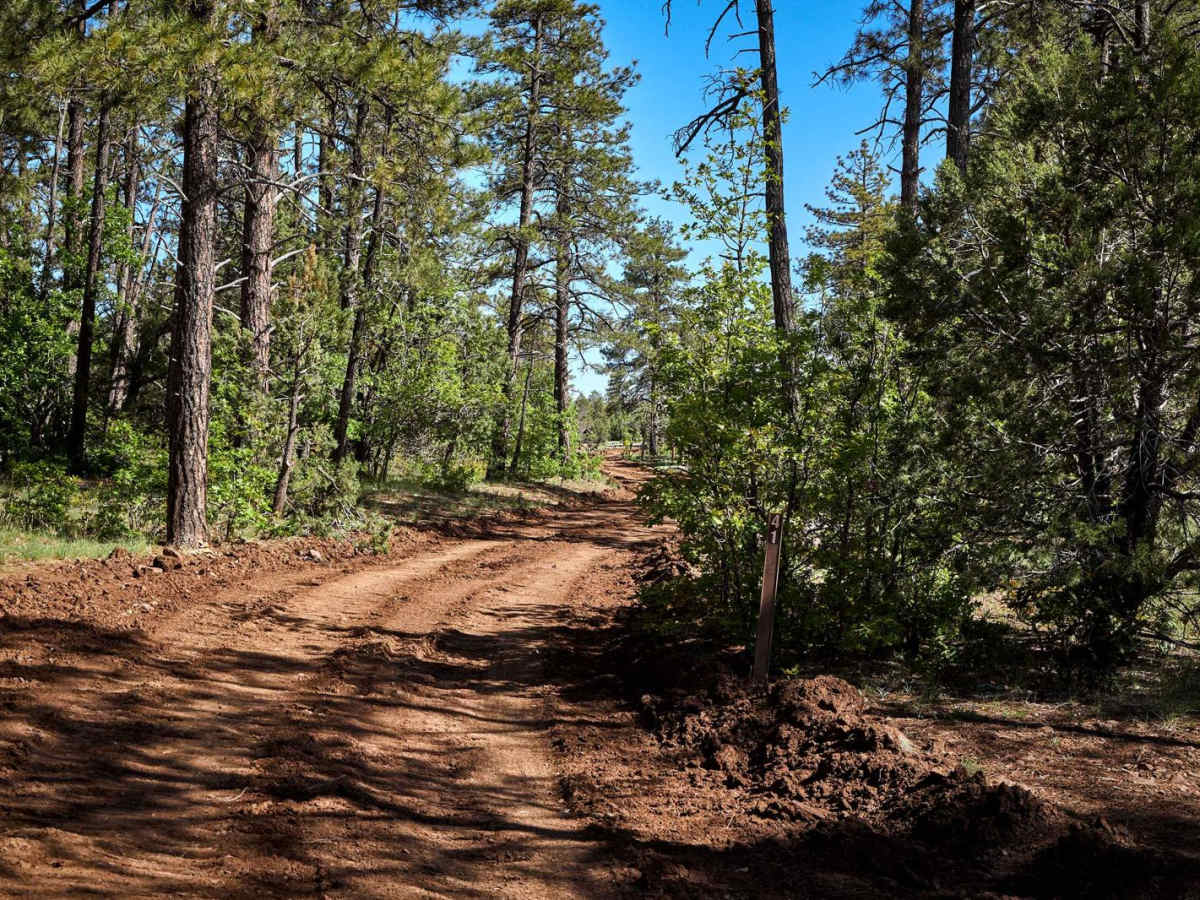 Sleeping Coyote Run photo 3