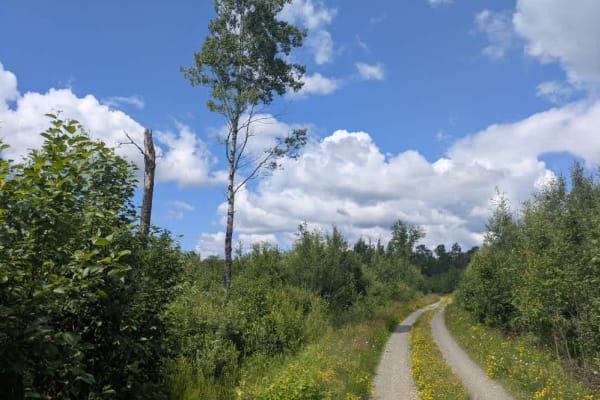 State Trail