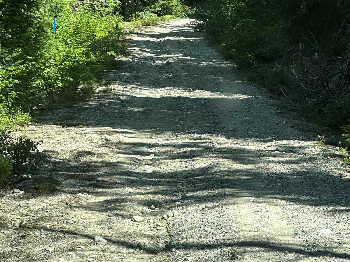 Meadow Ridge Trail photo 3
