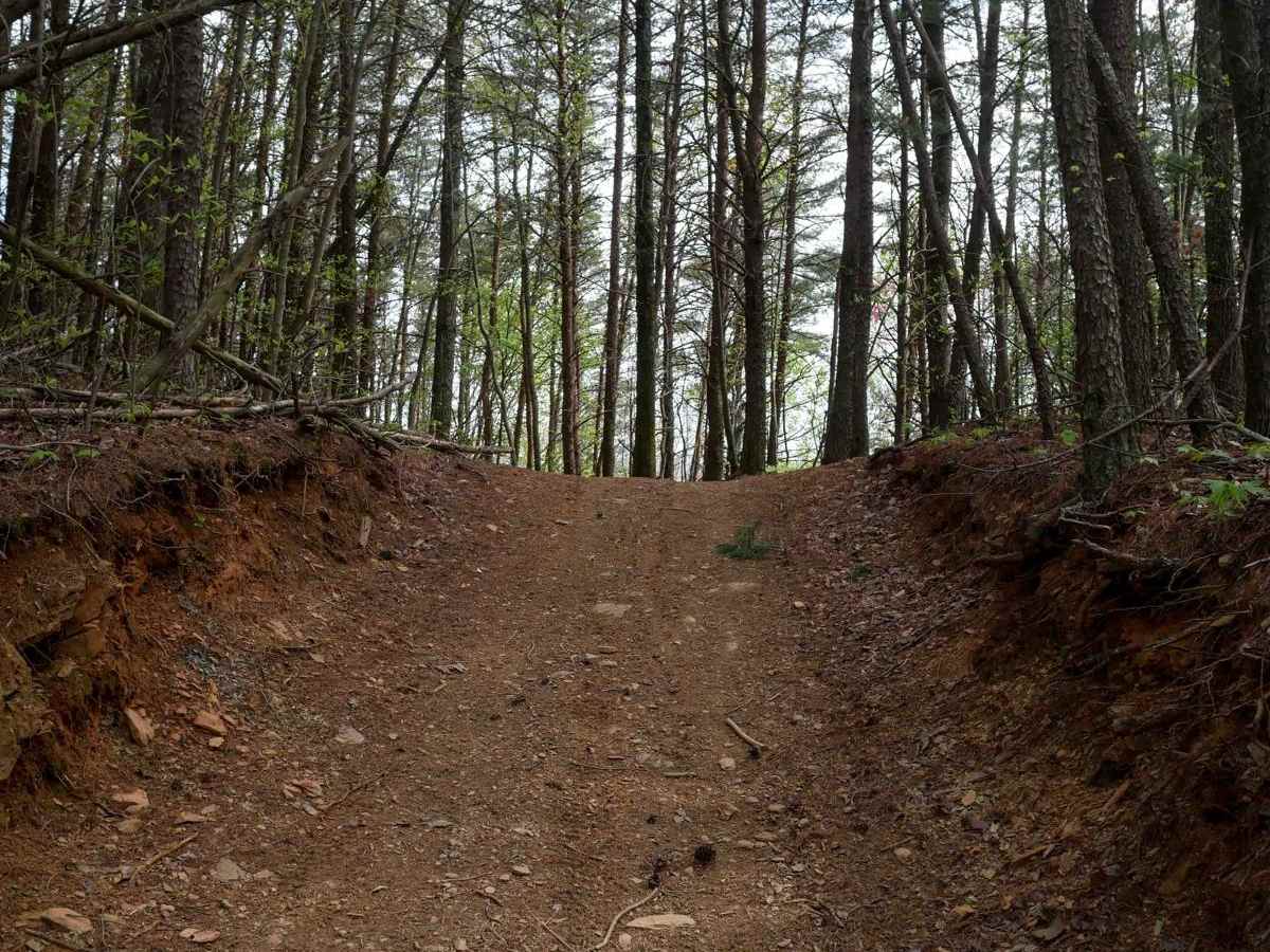 Milma Creek photo 3
