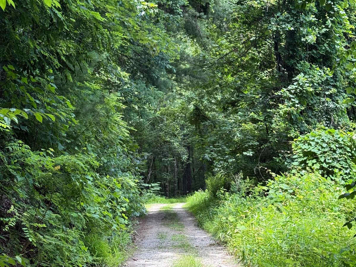 School House Ridge - FS 4068 photo 6