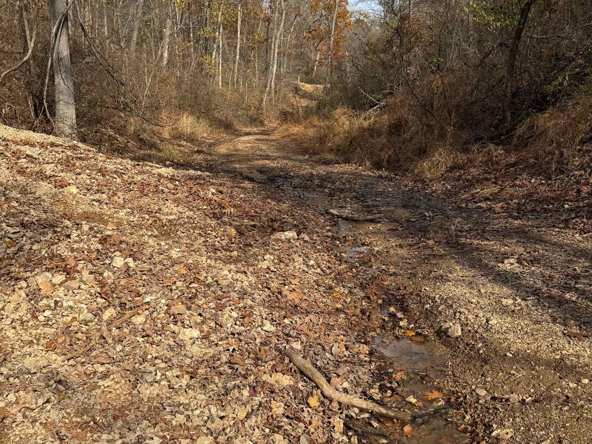Yellow 202 trail photo