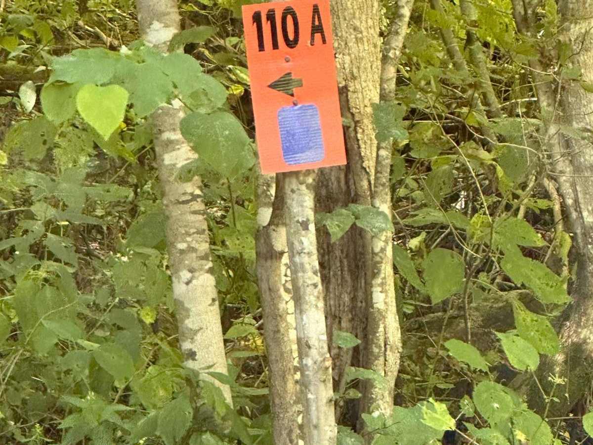 110A trail photo