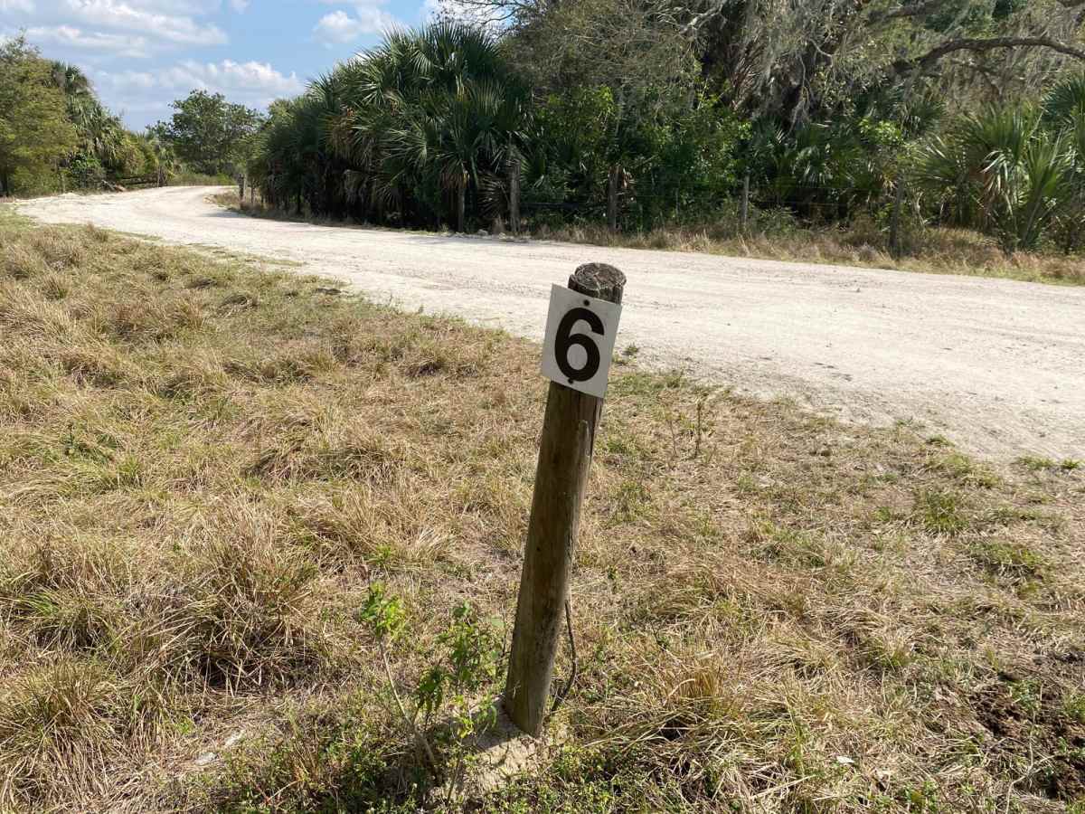 Road 6 trail photo