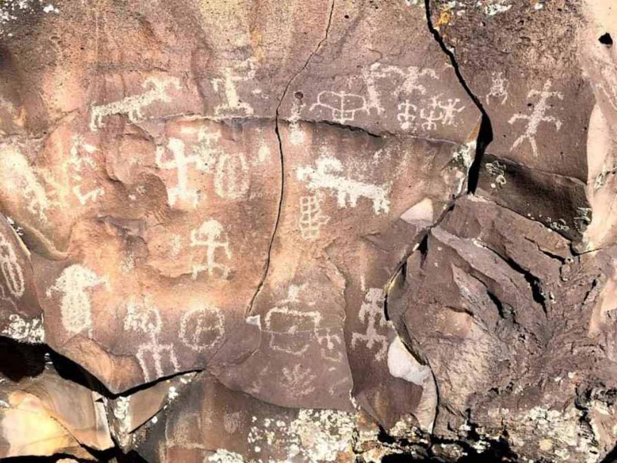 Nampaweap Petroglyph Trail BLM 1028 photo 2