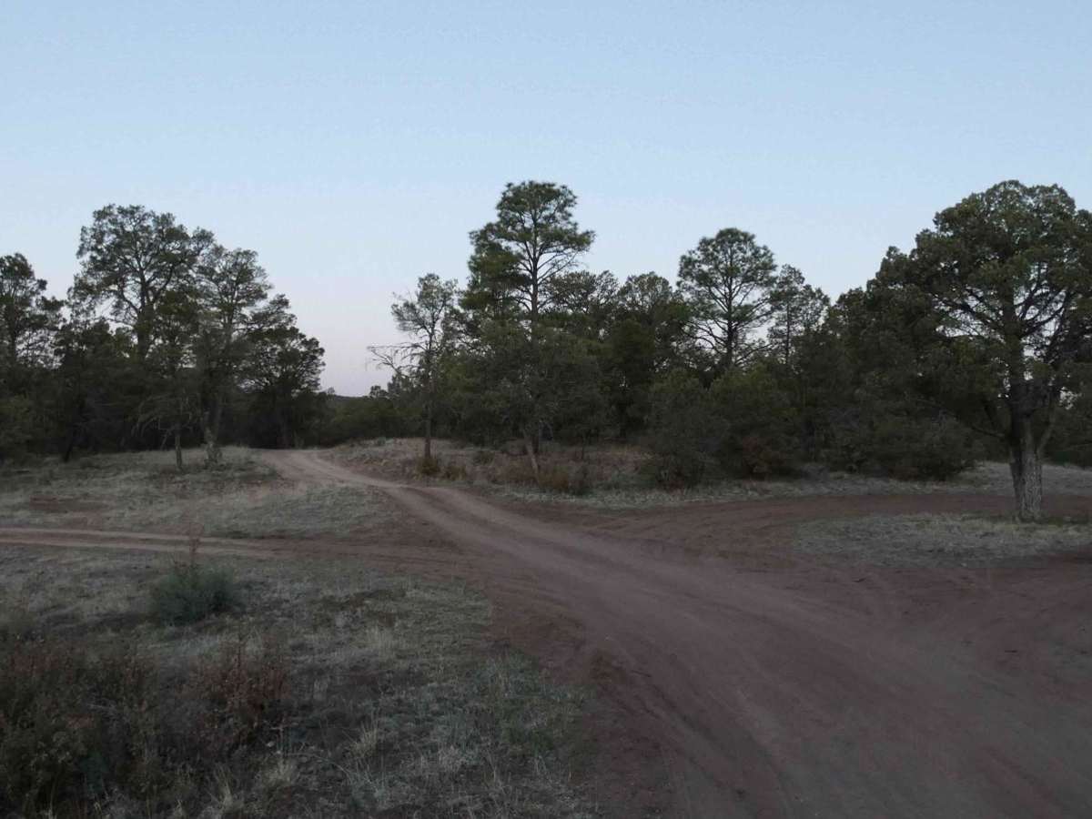 Elk Pasture photo 3