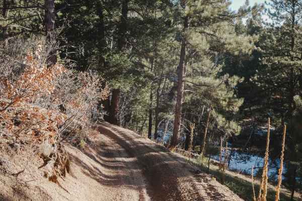 787 ATV Trail