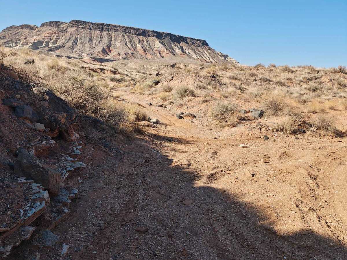 South Rim Black Rock Loop - Single Track photo 6