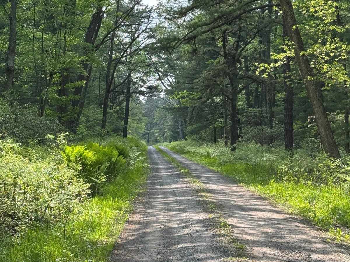 Seven Mile Road photo 4