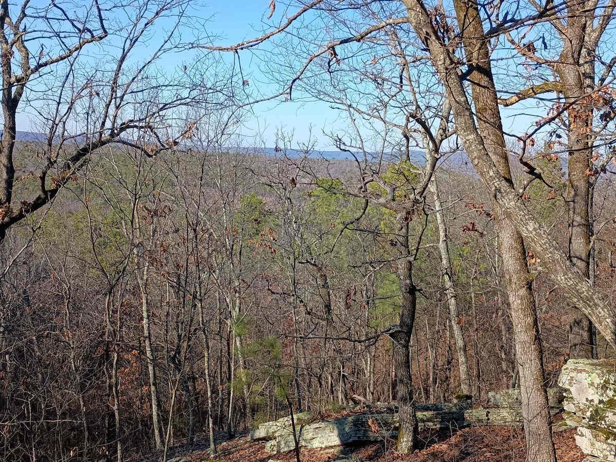 Lookout Access Trail photo 2