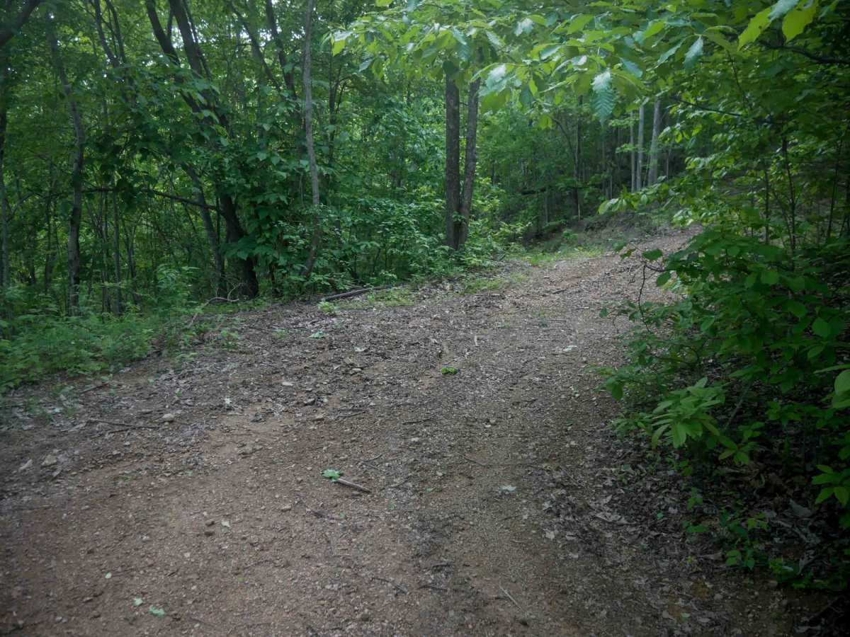 MV53 photo 5