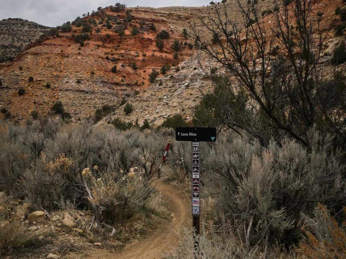 Lane Mine trail photo