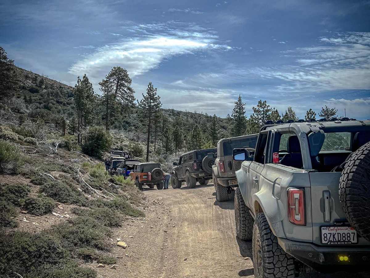 Upper Holcomb Creek Road - 3N08 trail photo
