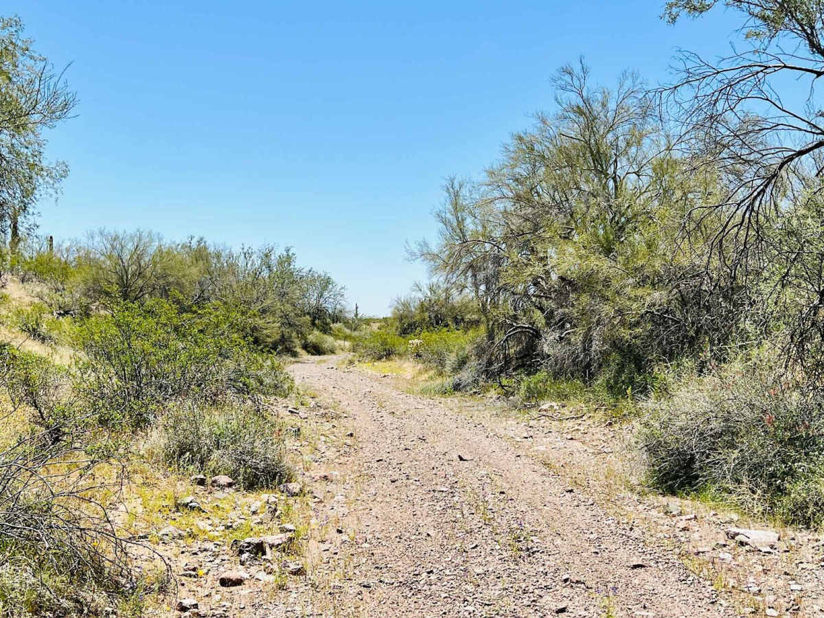 BLM 9064 photo 6
