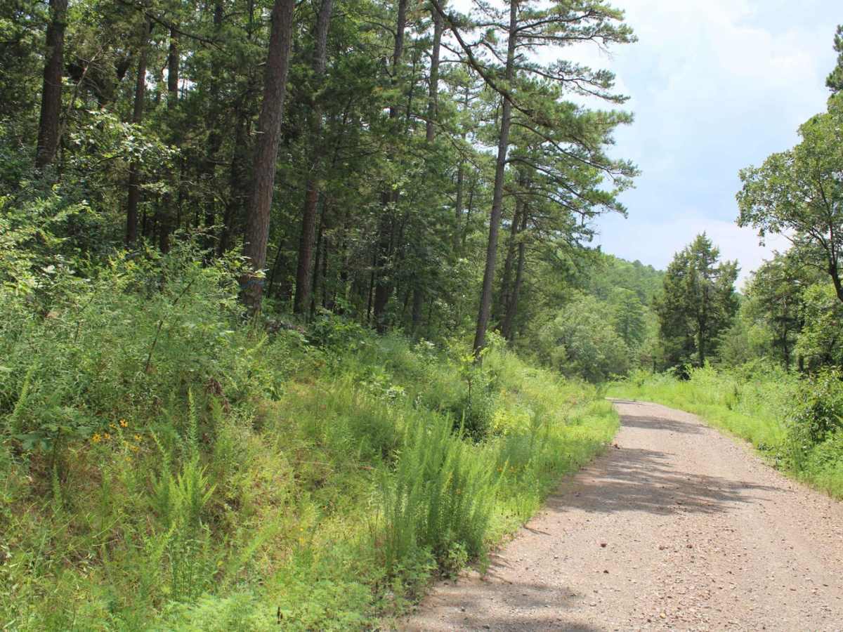 Jack Creek Road photo 2