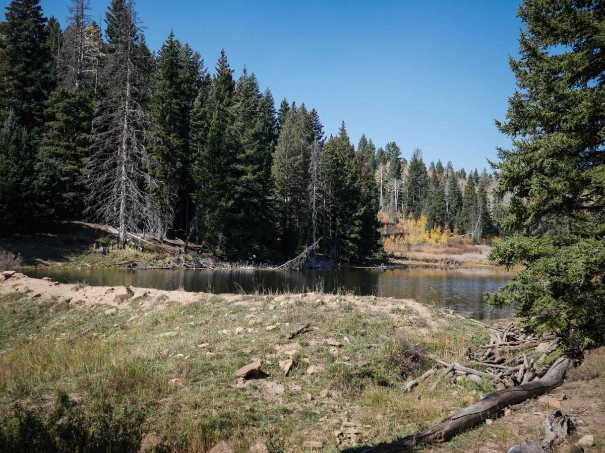 Dry Creek ATV Trail photo 2