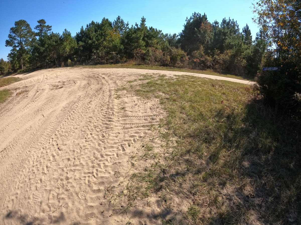 Lola's Loop photo 5