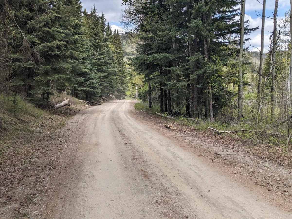 East Lynx Creek Trail photo 3