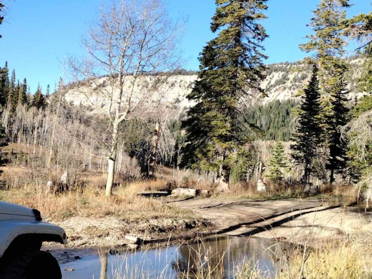 FS 51198 Upper 6 Mile Pond Loop trail photo