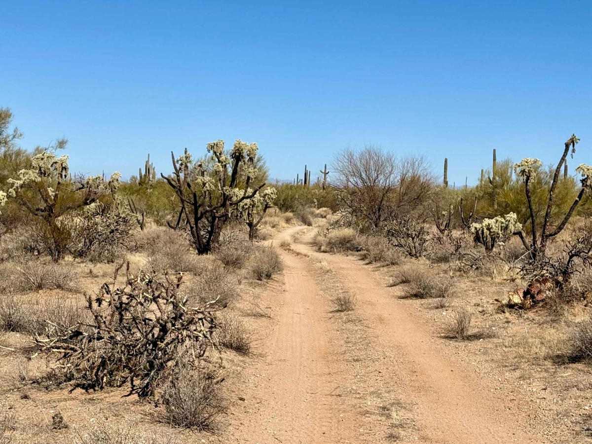 Quail Run photo 2