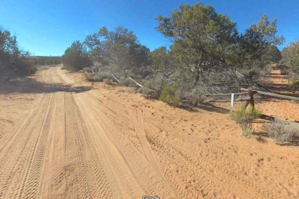 Sand Spring Road (BLM050)