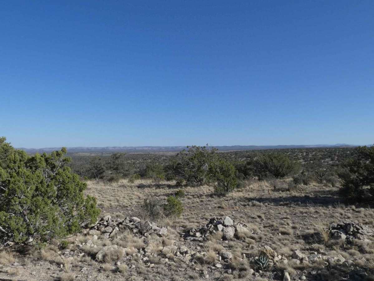 National Livestock Road photo 5