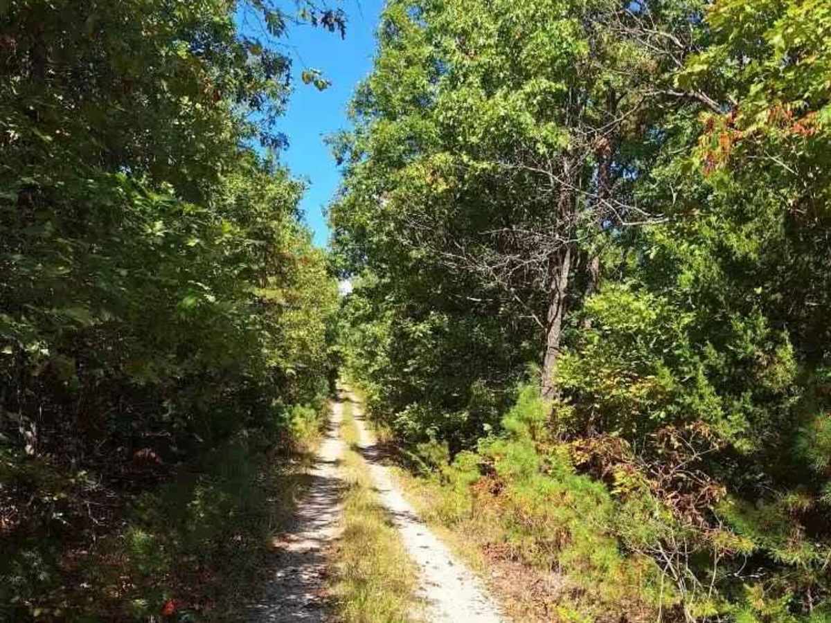 Highline FSR 2472 photo 3