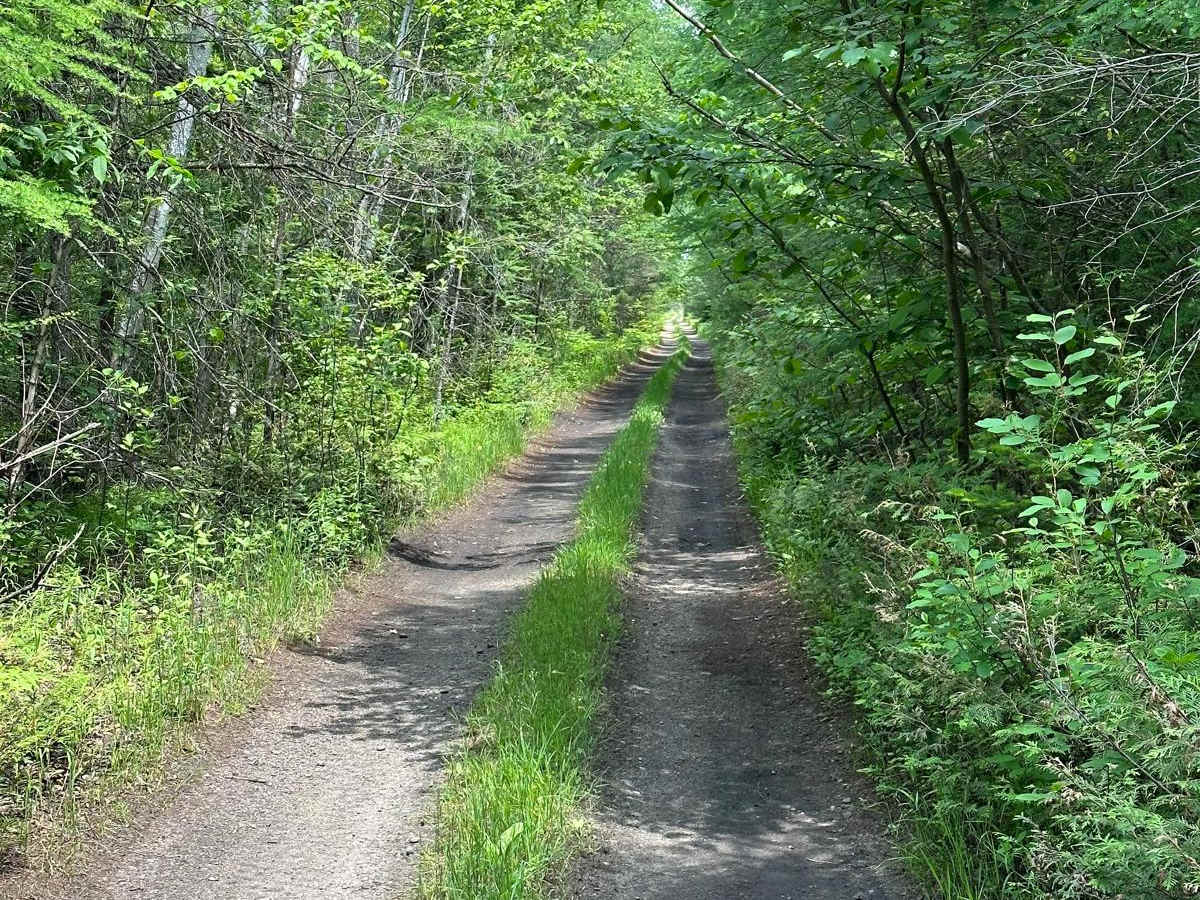 Rail Trail Part 4 photo 4