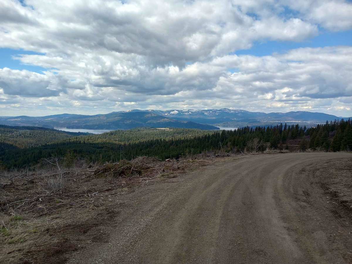 Mount Coeur d'Alene (439) photo 6