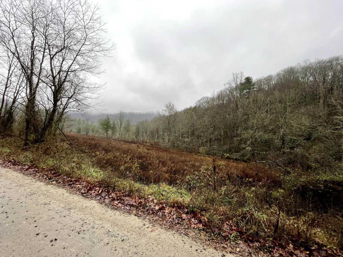 Creek Side Scenic Drive photo 2