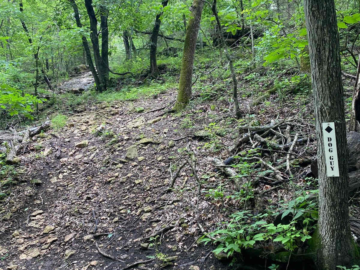 Dog Guy trail photo