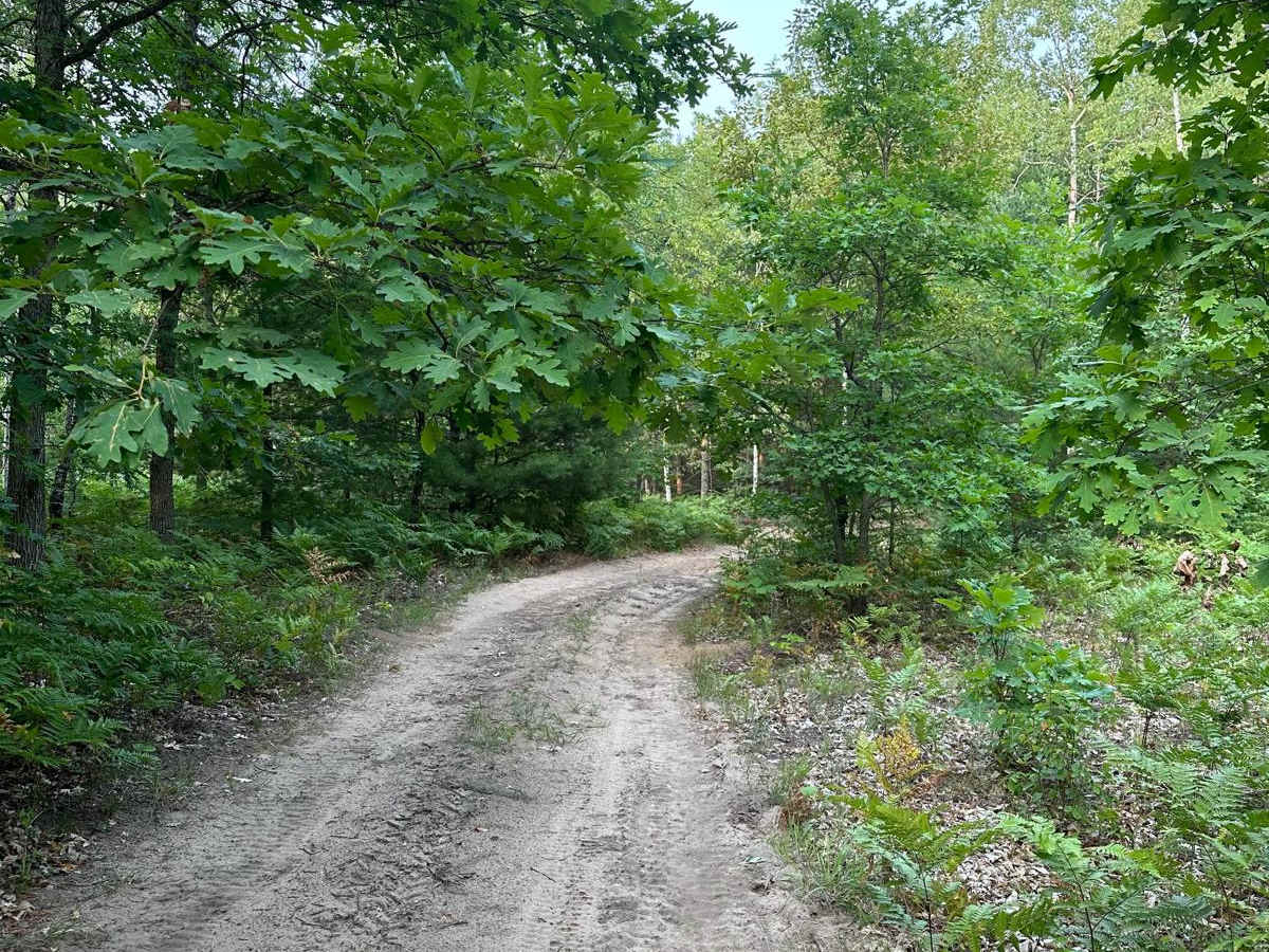 Carmean Spur trail photo