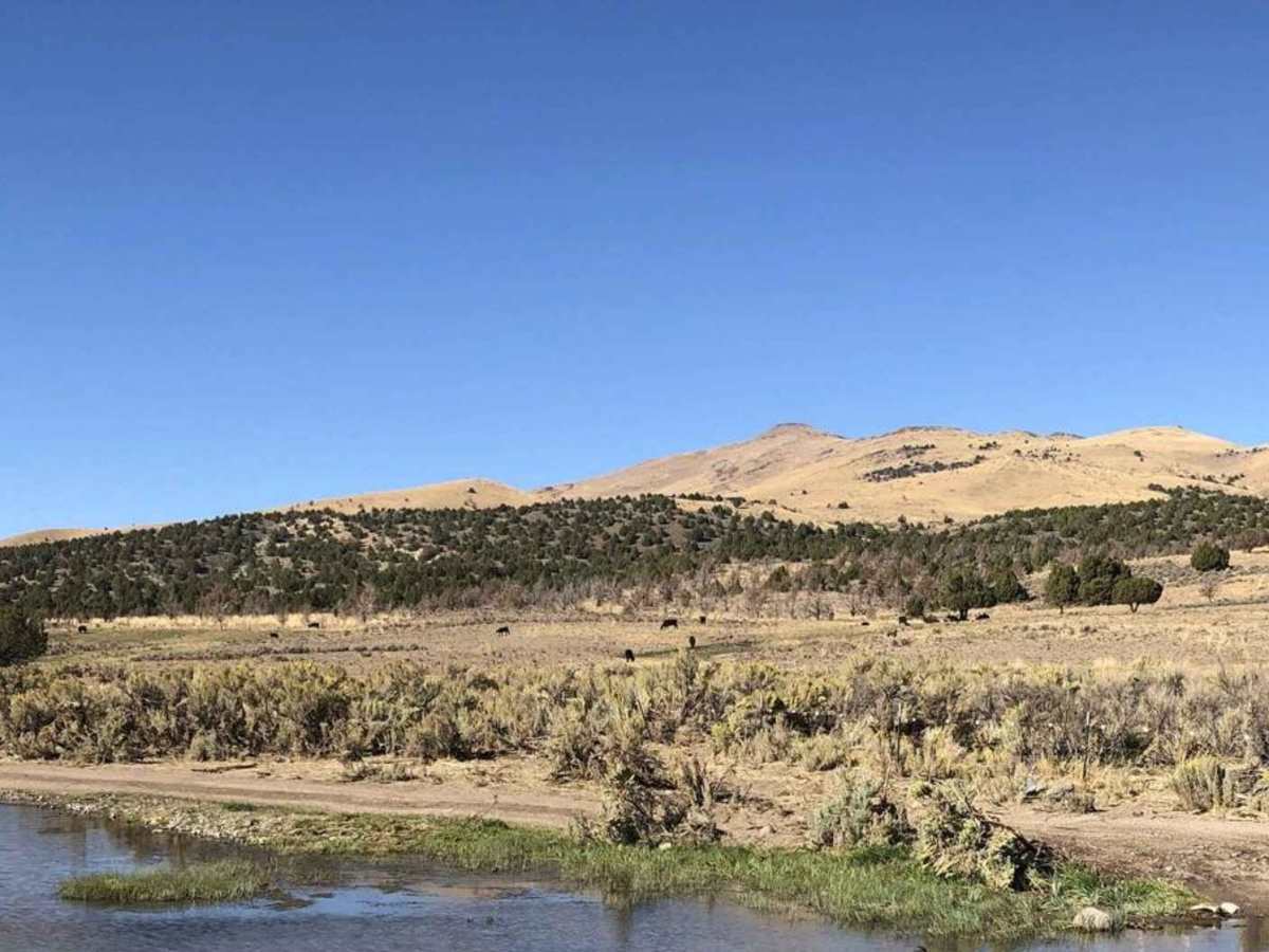 Jumbo Ranch Run photo 6