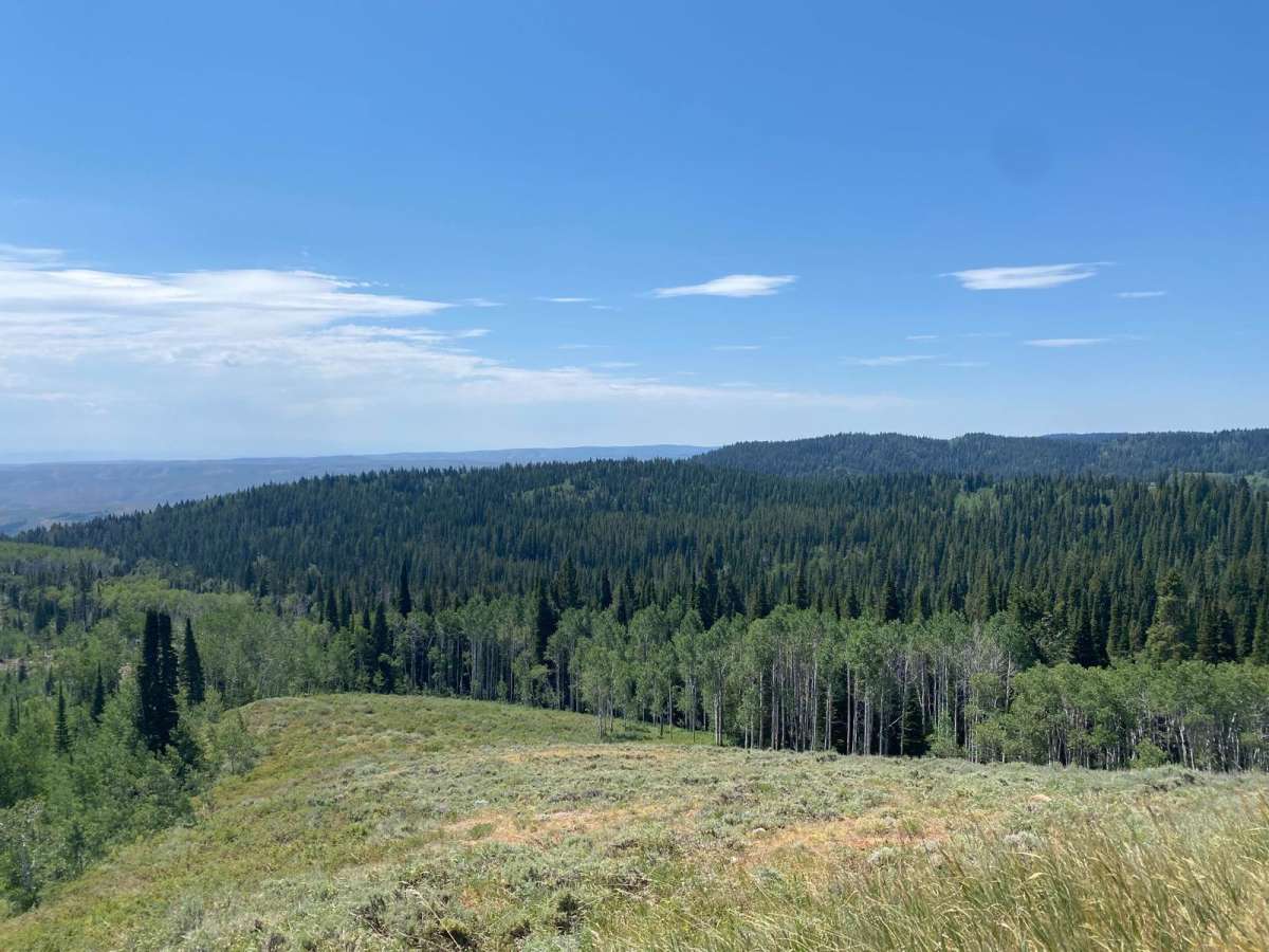 Old Canyon Trail trail photo