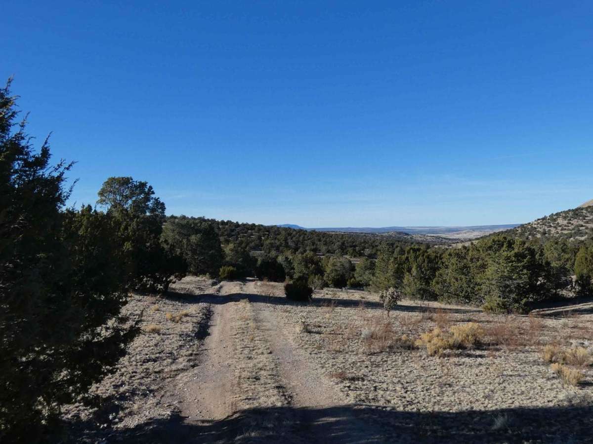 Cerro Pelon Base photo 3