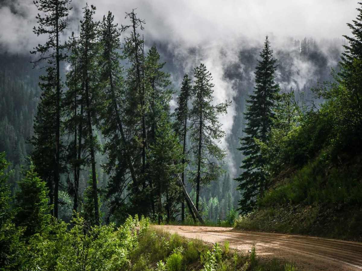 Cliff Creek trail photo