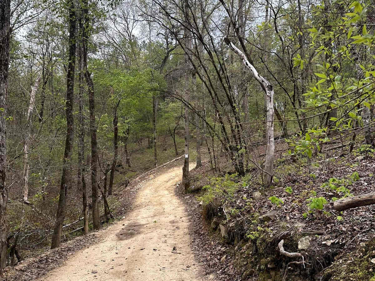 Trail 20 photo 3