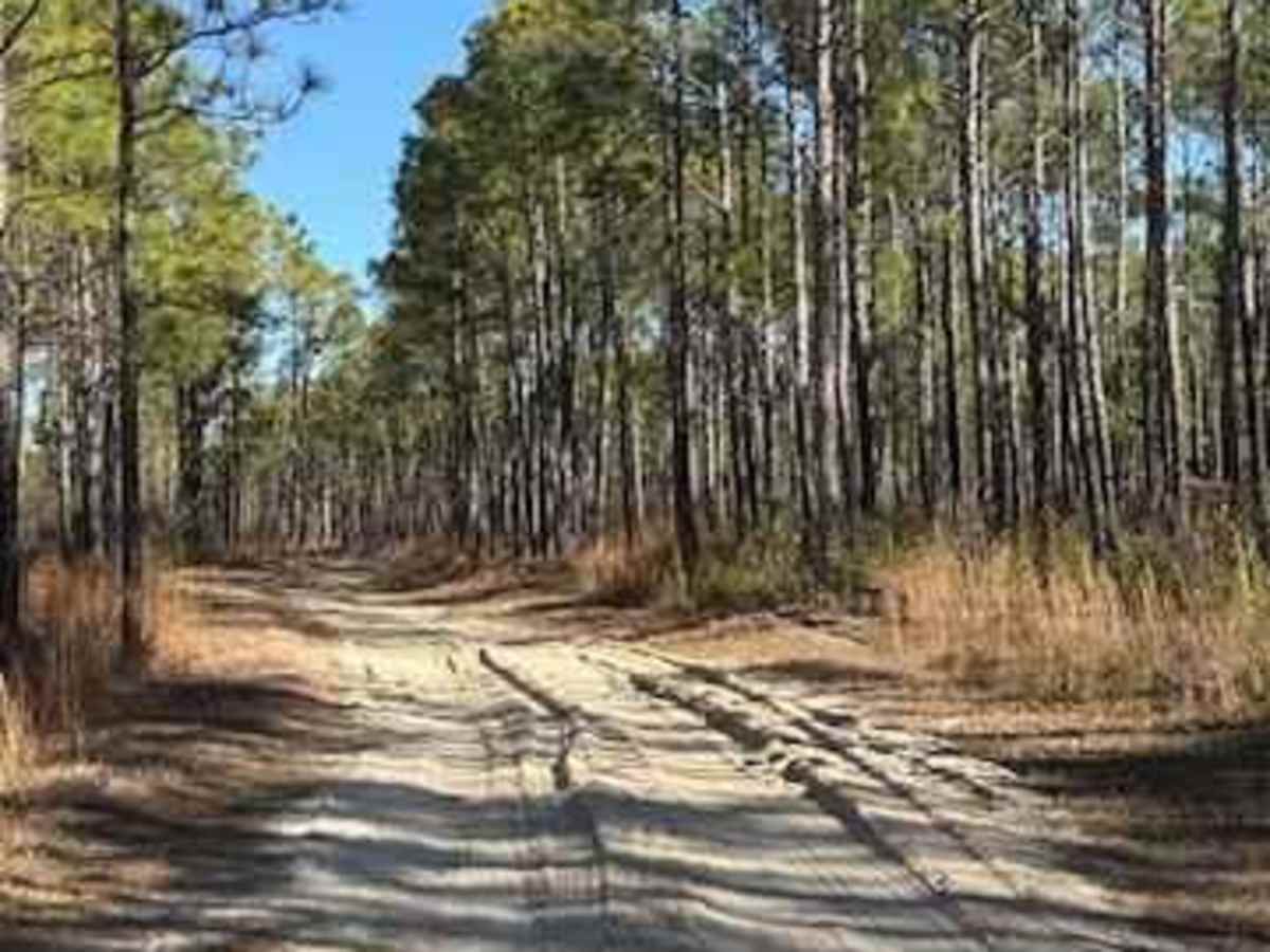 Pettiford Creek West Entrance photo 6