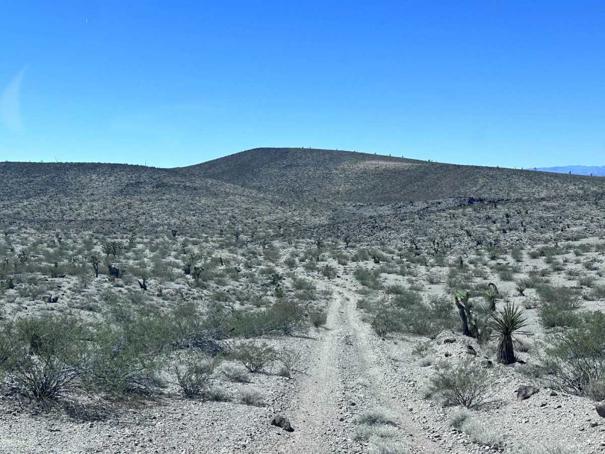 BLM Route 7951 photo 5