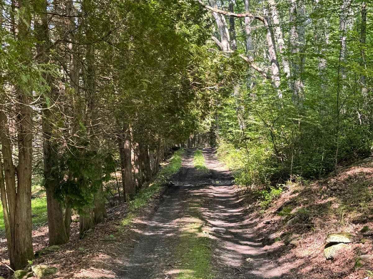 Eastern Boundary Trail photo 4