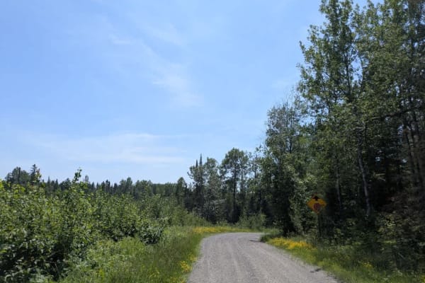 Markham Road